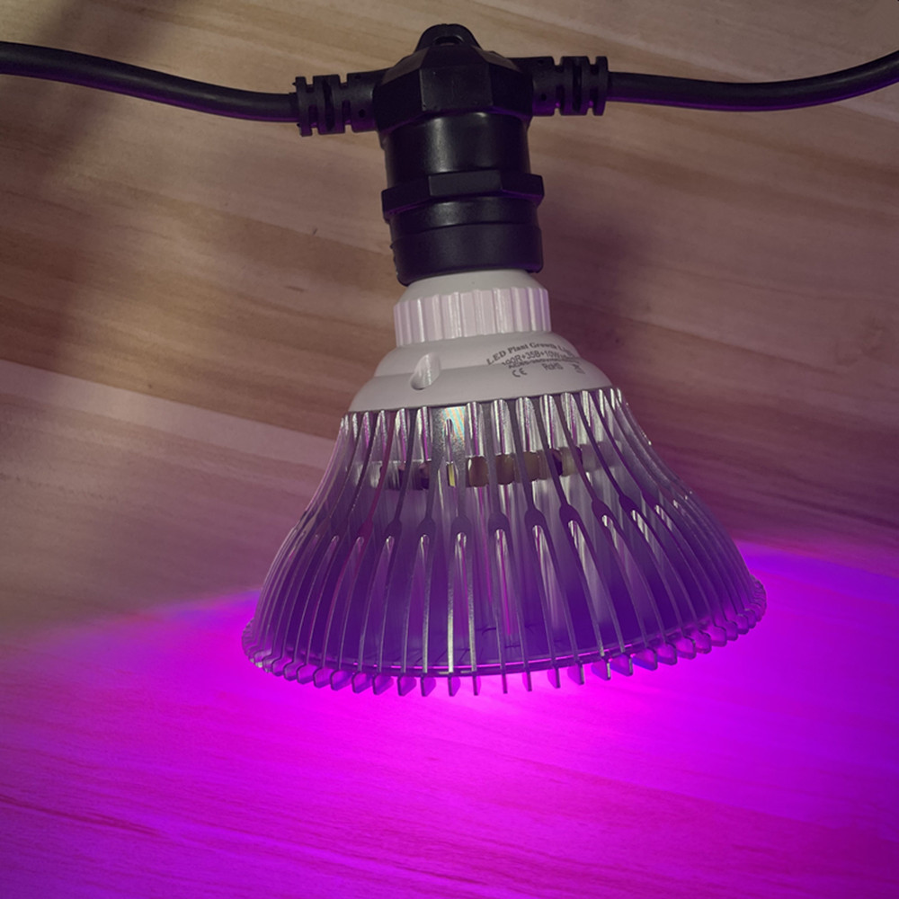 10M Cable LED String Commercia - огляд і ціна Outdoor Power Outlet